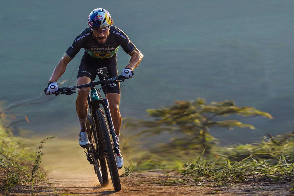 How to Choose the Best Bike Phone Mount? 🚴♂️📱